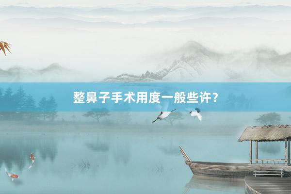 整鼻子手术用度一般些许？