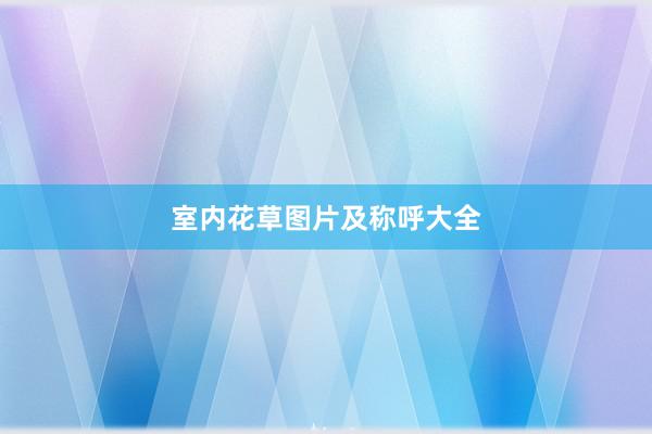 室内花草图片及称呼大全